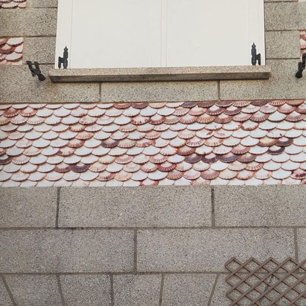 Expertos en rehabilitación exterior de viviendas