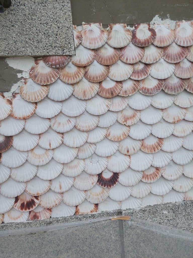 Algunos de nuestros proyectos de rehabilitación