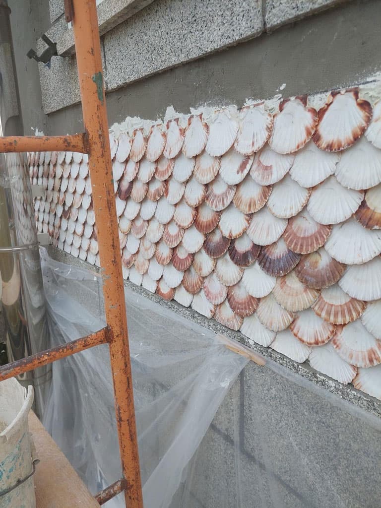 Algunos de nuestros proyectos de rehabilitación