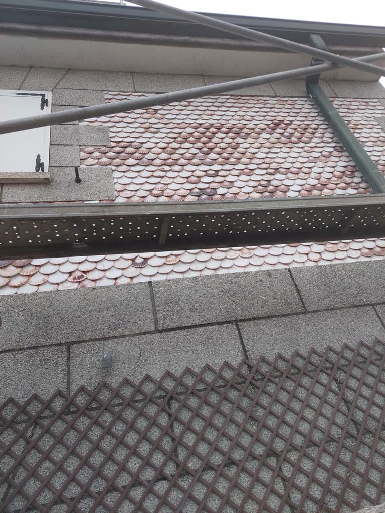 Algunos de nuestros proyectos de rehabilitación