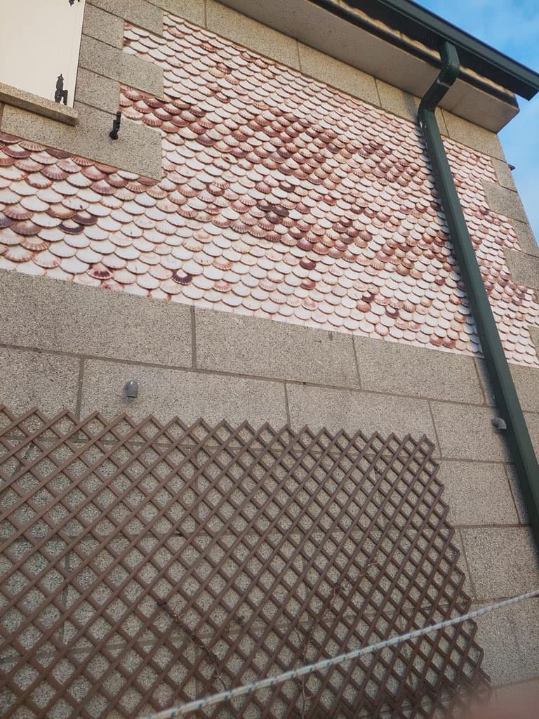 Algunos de nuestros proyectos de rehabilitación