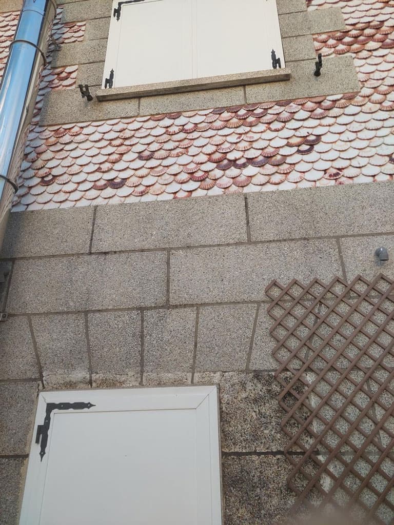 Algunos de nuestros proyectos de rehabilitación